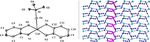 Supramolecular inorganic chemistry leading to functional materials