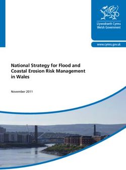 National Strategy for Flood and Coastal Erosion Risk Management in Wales - November 2011