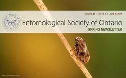 Entomological Society of Ontario - Issue 1 | June 5, 2018