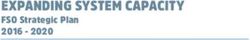 EXPANDING SYSTEM CAPACITY - FSO Strategic Plan 2016 2020 - Freestyle Ontario