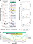 DYNAMICALLY EVOLVING NOVEL OVERLAPPING GENE AS A FACTOR IN THE SARS-COV-2 PANDEMIC - ELIFE