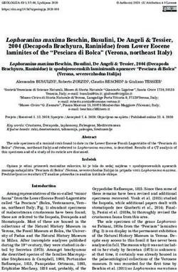 Lophoranina maxima Beschin, Busulini, De Angeli & Tessier, 2004 (Decapoda Brachyura, Raninidae) from Lower Eocene laminites of the "Pesciara di ...