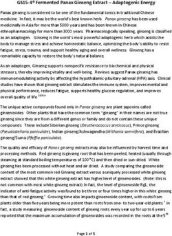 GS15-4 Fermented Panax Ginseng Extract - Adaptogenic Energy