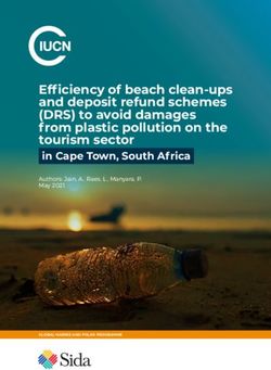 Efficiency of beach clean-ups and deposit refund schemes (DRS) to avoid damages from plastic pollution on the tourism sector - in Cape Town, South ...