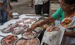 Solving PlaStic Pollution through accountability - Warning: Plastics are polluting nature, endangering wildlife and taxing natural systems. it is ...