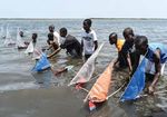 Solving PlaStic Pollution through accountability - Warning: Plastics are polluting nature, endangering wildlife and taxing natural systems. it is ...