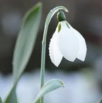 February 2021 - St Andrew's Roundhay