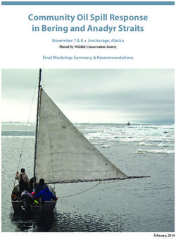 Community Oil Spill Response in Bering and Anadyr Straits - November 7 & 8 Anchorage, Alaska Final Workshop Summary & Recommendations