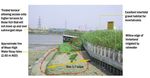 Guidance Document Conservation of Tidal Thames Fish through the Planning Process October 2016 - ZSL