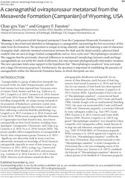 A caenagnathid oviraptorosaur metatarsal from the Mesaverde Formation (Campanian) of Wyoming, USA