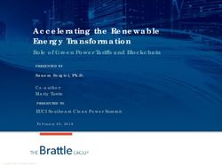 Accelerating the Renewable Energy Transformation - The ...
