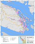 ANALYSIS OF CURRENT GROUNDWATER USE IN THE WEST COAST REGION, BRITISH COLUMBIA - TIM BENNETT1, ISMENA BYSTRON1, PAT LAPCEVIC2, MEGAN WAINWRIGHT3 ...