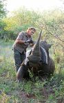 DEHORNING THE RHINO - ALL PHOTOS: LOUISE MURRAY / SCIENCE PHOTO LIBRARY