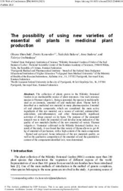 The possibility of using new varieties of essential oil plants in medicinal plant production