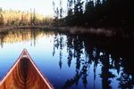 A Pivotal Year for Wildlife and Communities in the Great Lakes