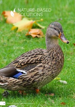 NATURE-BASED SOLUTIONS - Storyblok