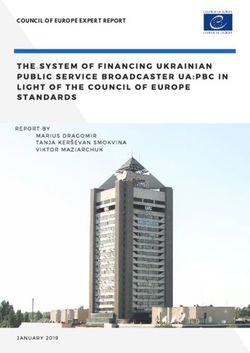 COUNCIL OF EUROPE EXPERT REPORT - Coe