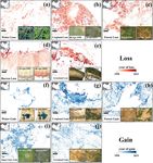 The 30 m annual land cover dataset and its dynamics in China from 1990 to 2019