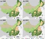 The 30 m annual land cover dataset and its dynamics in China from 1990 to 2019