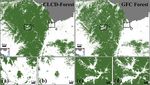 The 30 m annual land cover dataset and its dynamics in China from 1990 to 2019