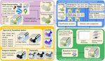 The 30 m annual land cover dataset and its dynamics in China from 1990 to 2019