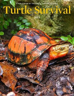 Turtle Survival 2015 A PUBLICATION OF THE TURTLE SURVIVAL ALLIANCE
