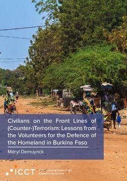 Civilians on the Front Lines of (Counter-)Terrorism: Lessons from the Volunteers for the Defence of the Homeland in Burkina Faso - M&eacute;ryl Demuynck