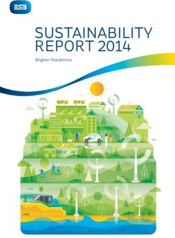 SUSTAINABILITY REPORT 2014 - Brighter Possibilities - ESB