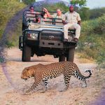 Scenic South Africa 18 day Escorted Tour, 28 July - 14 August 2020 - From $11,995 per person twin-share | From $14,995 per person solo occupancy