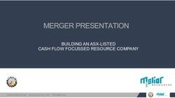MERGER PRESENTATION BUILDING AN ASX-LISTED CASH FLOW FOCUSSED RESOURCE COMPANY - Metallica Minerals Limited