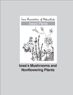 Iowa's Mushrooms and Nonflowering Plants - Iowa's Plants Iowa Association of Naturalists - ISU Extension ...