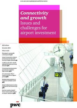 CONNECTIVITY AND GROWTH ISSUES AND CHALLENGES FOR AIRPORT INVESTMENT - PWC