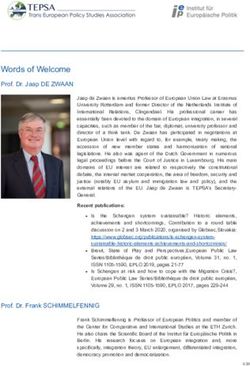 Words of Welcome Prof. Dr. Jaap DE ZWAAN - Institut für ...