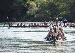 Kia tupu, kia hua, kia puaawai - Business Plan 2018/2019 - Waikato Tainui