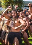 Kia tupu, kia hua, kia puaawai - Business Plan 2018/2019 - Waikato Tainui