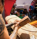 Kia tupu, kia hua, kia puaawai - Business Plan 2018/2019 - Waikato Tainui