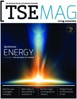 ENERGY Specia issue - Toulouse School of Economics