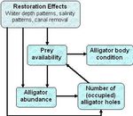The American Alligator: An Indicator Species for Everglades Restoration1 - EDIS