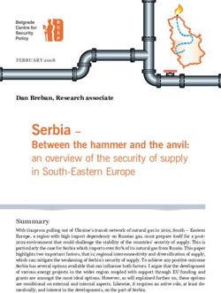 Serbia - Between the hammer and the anvil: an overview of the security of supply in South-Eastern Europe