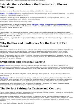 Harvest Table Magic: Creating Centerpieces with Dahlias and Sunflowers