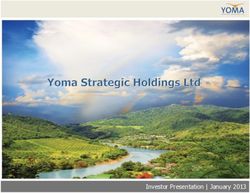 Investor Presentation | January 2013 - Yoma Strategic Holdings
