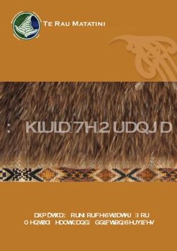 Kaumatua Workforce Strategy for Mental Health and Addiction Services - Te Rau Ora