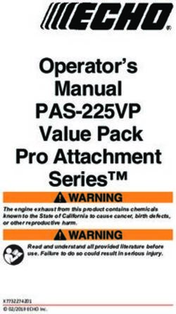 PAS-225VP Value Pack Operator's Manual - Echo