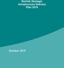 Norfolk Strategic Infrastructure Delivery Plan 2019 2018-2028