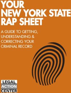 YOUR NEW YORK STATE RAP SHEET - A GUIDE TO GETTING, UNDERSTANDING & CORRECTING YOUR CRIMINAL RECORD