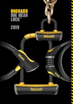 ONGUARD ONE MEAN 2019 - LOCKTM