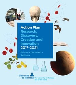 Action Plan Research, Discovery, Creation and Innovation 2017-2021