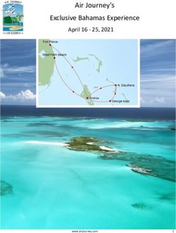 Air Journey's Exclusive Bahamas Experience - April 16 - 25, 2021