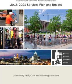 2018-2021 Services Plan and Budget - Maintaining a Safe, Clean and Welcoming Downtown - Downtown Cincinnati ...