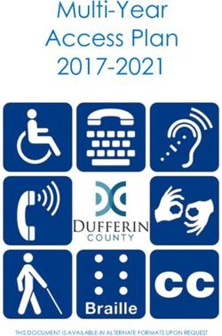 Multi-Year Access Plan 2017-2021 - Dufferin County